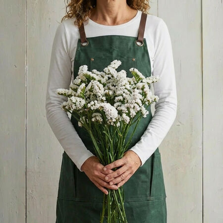 Hipster White, Statice Seeds - Packet image number null